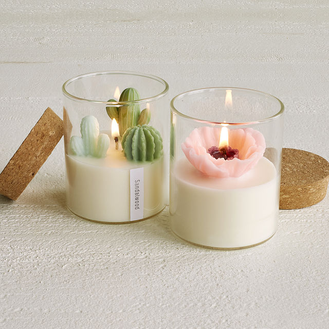 candle Functional Alternatives: Miniature Terrariums